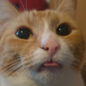 Meet your Posher, Ellie